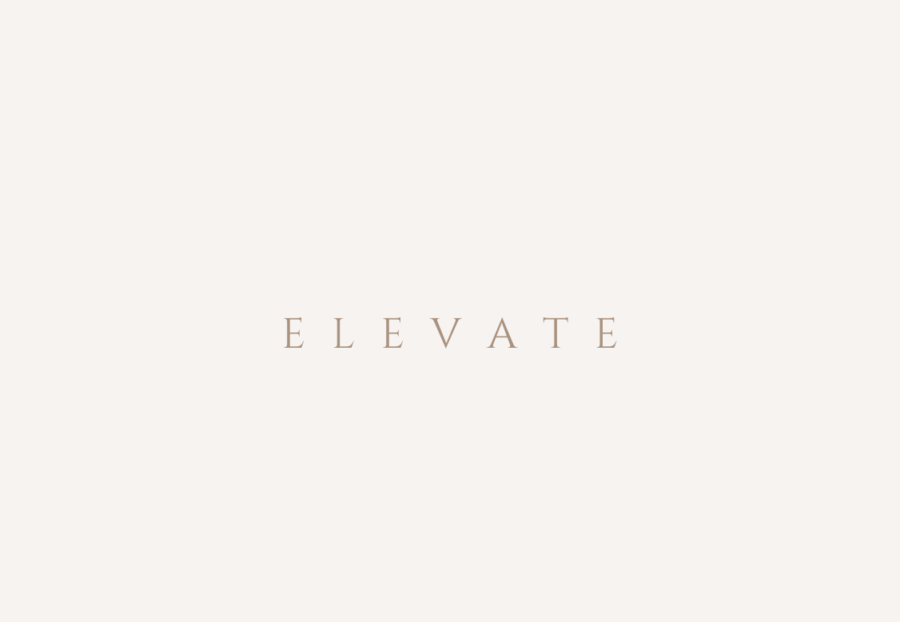 ELEVATE SEO 8